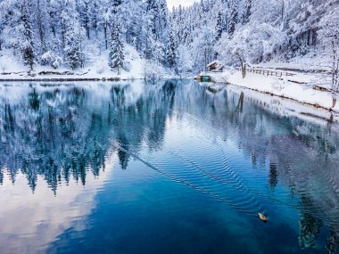 Tarvisio, İtalya 'daki donmuş Fusine göllerinin manzaralı görüntüleri.