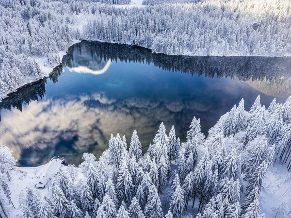 Plan Panoramique Des Lacs Gelés Fusine Dans Forêt Tarvisio Italie — Photo