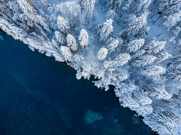 Plan Panoramique Des Lacs Gelés Fusine Dans Forêt Tarvisio Italie — Photo