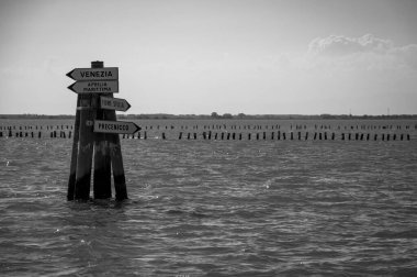 Güzel deniz kıyısının siyah beyaz görüntüsü