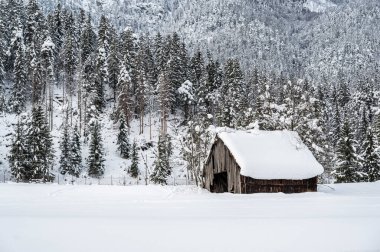 Traviso, İtalya 'nın güzel karlı manzarası