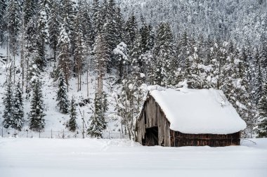Traviso, İtalya 'nın güzel karlı manzarası