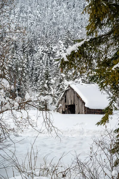 Beautiful Snowy Landscape Traviso Italy — Stock Photo, Image