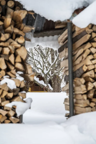 Köyde Karla Kaplı Odun Yığınları Fusine Tarvisio — Stok fotoğraf