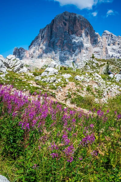Vista Mozzafiato Sulle Dolomiti Cortina Italia — Foto Stock