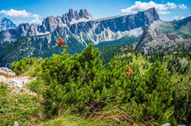 Cortina Dolomitlerinin nefes kesici manzarası. İtalya