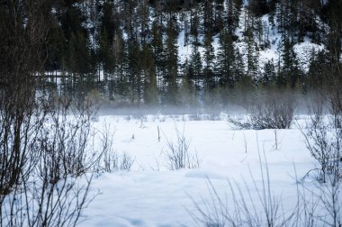 Dobbiaco Gölü. Dolomitler arasında hazine sandığı. Kış atmosferi.
