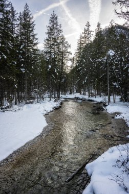 Dobbiaco Gölü. Dolomitler arasında hazine sandığı. Kış atmosferi.