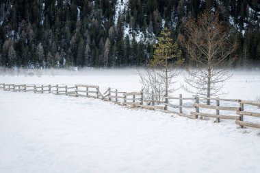 Dobbiaco Gölü. Dolomitler arasında hazine sandığı. Kış atmosferi.