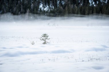 Dobbiaco Gölü. Dolomitler arasında hazine sandığı. Kış atmosferi.