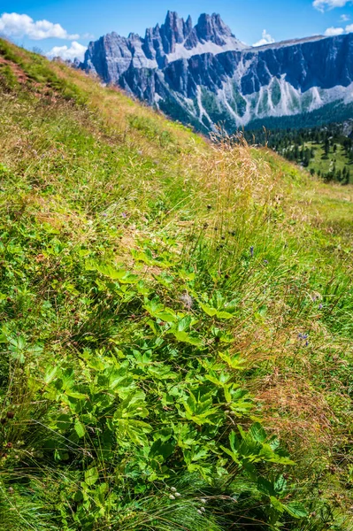 Cortina Dolomitlerinin Nefes Kesici Manzarası Talya — Stok fotoğraf