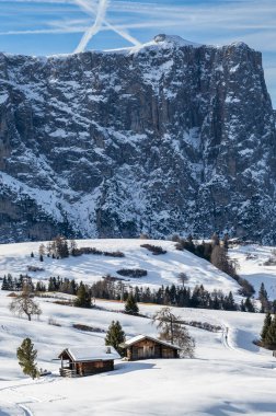 Avrupa 'nın kışın en büyük yüksek irtifa yaylası. Alpe di Siusi 'de kar ve kış atmosferi. Dolomitler.