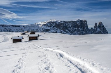 Avrupa 'nın kışın en büyük yüksek irtifa yaylası. Alpe di Siusi 'de kar ve kış atmosferi. Dolomitler.