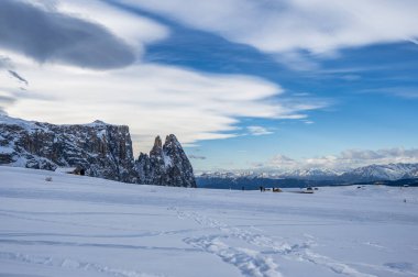 Avrupa 'nın kışın en büyük yüksek irtifa yaylası. Alpe di Siusi 'de kar ve kış atmosferi. Dolomitler.