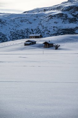 Avrupa 'nın kışın en büyük yüksek irtifa yaylası. Alpe di Siusi 'de kar ve kış atmosferi. Dolomitler.