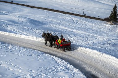 Avrupa 'nın kışın en büyük yüksek irtifa yaylası. Alpe di Siusi 'de kar ve kış atmosferi. Dolomitler.