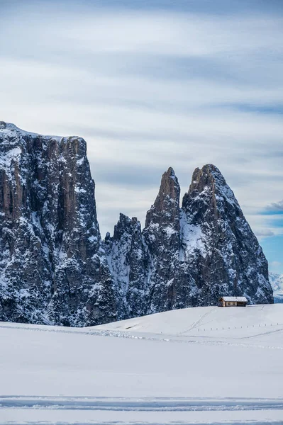 Avrupa Nın Kışın Büyük Yüksek Irtifa Yaylası Alpe Siusi Kar — Stok fotoğraf