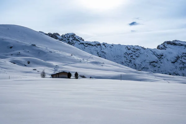 Grand Plateau Altitude Europe Hiver Neige Ambiance Hivernale Sur Alpe — Photo