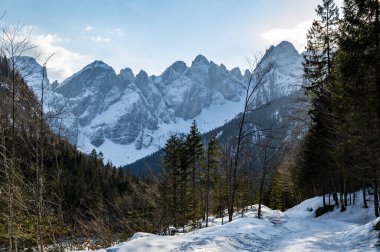 Tarvisio. Kışın Riofreddo Vadisi. Julian Alplerinin eteklerinde