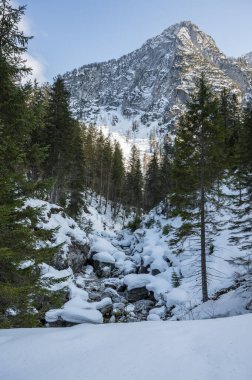 Tarvisio. Kışın Riofreddo Vadisi. Julian Alplerinin eteklerinde
