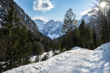 Tarvisio. Kışın Riofreddo Vadisi. Julian Alplerinin eteklerinde