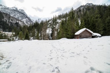 Tarvisio. Kışın Riofreddo Vadisi. Julian Alplerinin eteklerinde