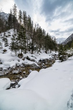 Tarvisio. Kışın Riofreddo Vadisi. Julian Alplerinin eteklerinde