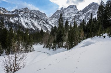 Tarvisio. Kışın Riofreddo Vadisi. Julian Alplerinin eteklerinde