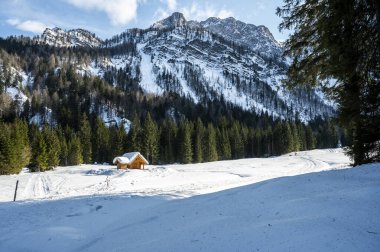 Tarvisio. Kışın Riofreddo Vadisi. Julian Alplerinin eteklerinde