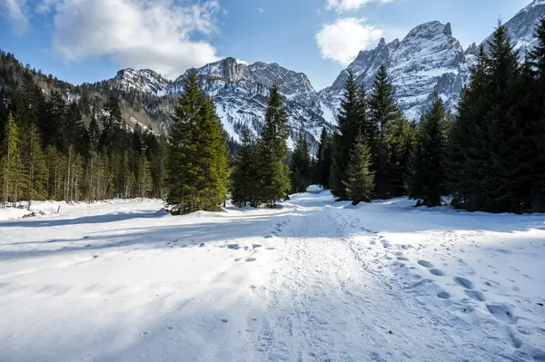 Tarvisio Riofreddo Valley Winter Foot Julian Alps — Stock Photo, Image
