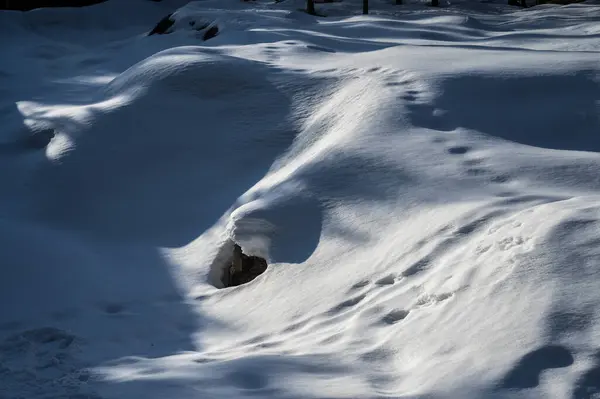 Tarvisiossa Riofreddon Laakso Talvella Julian Alppien Juurella — kuvapankkivalokuva