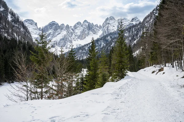 Tarvisio Riofreddo Vallei Winter Aan Voet Van Juliaanse Alpen — Stockfoto