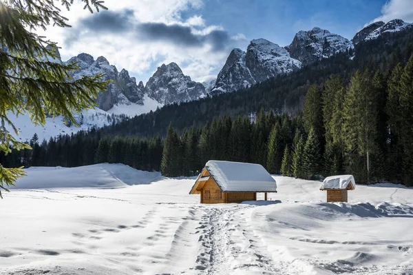 Tarvisio. Kışın Riofreddo Vadisi. Julian Alplerinin eteklerinde