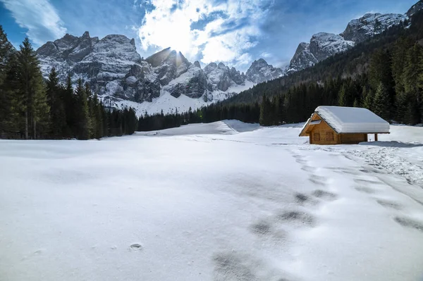 Tarvisio. Kışın Riofreddo Vadisi. Julian Alplerinin eteklerinde