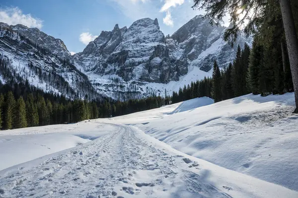 Tarvisio Riofreddo Vallei Winter Aan Voet Van Juliaanse Alpen — Stockfoto