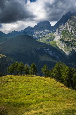 Carnia 'nın ormanları ve dağ otlakları arasında doğal bir gezi..