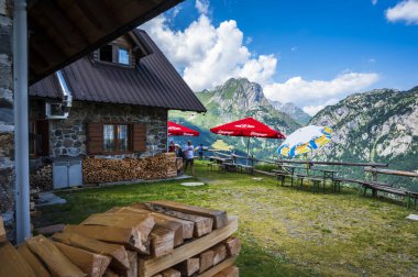 Carnia 'nın ormanları ve dağ otlakları arasında doğal bir gezi..