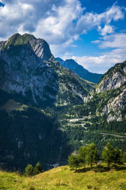 Carnia 'nın ormanları ve dağ otlakları arasında doğal bir gezi..