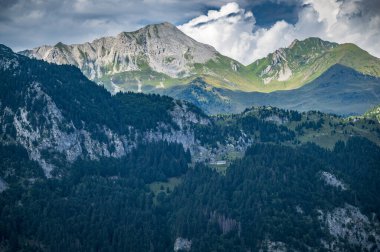 Carnia 'nın ormanları ve dağ otlakları arasında doğal bir gezi..