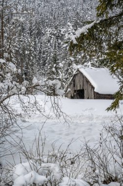 Şiddetli bir kar yağışı sonrasında Tarvisio turizm beldesi