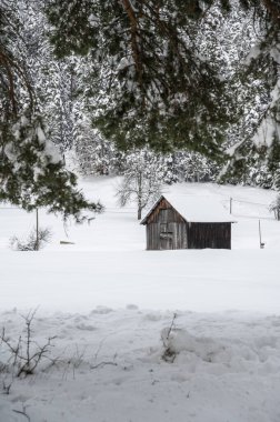 Şiddetli bir kar yağışı sonrasında Tarvisio turizm beldesi