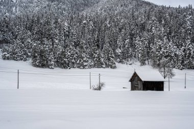 Şiddetli bir kar yağışı sonrasında Tarvisio turizm beldesi