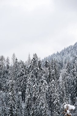 Şiddetli bir kar yağışı sonrasında Tarvisio turizm beldesi