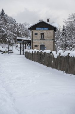 Şiddetli bir kar yağışı sonrasında Tarvisio turizm beldesi