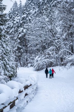 Şiddetli bir kar yağışı sonrasında Tarvisio turizm beldesi