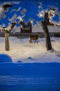 Şiddetli bir kar yağışı sonrasında Tarvisio turizm beldesi