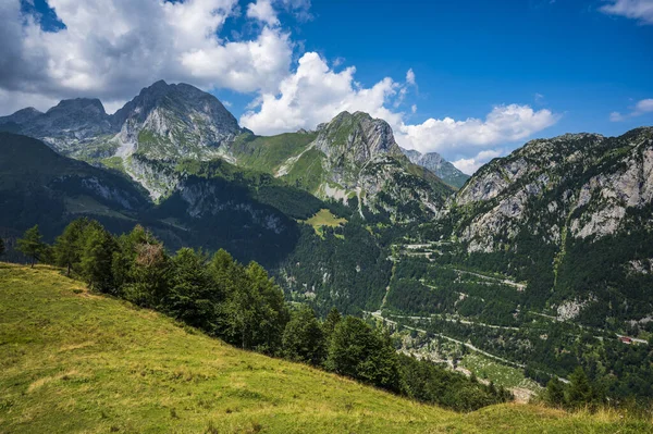 stock image Naturalistic excursion among the forests and mountain pastures of Carnia.