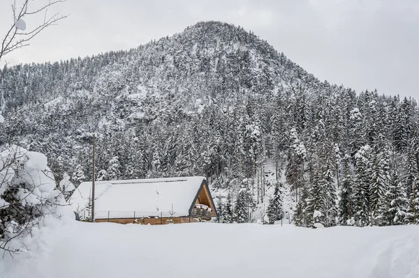 Şiddetli bir kar yağışı sonrasında Tarvisio turizm beldesi