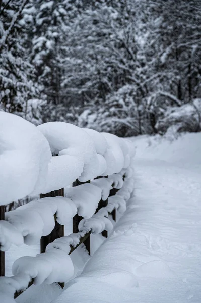 Туристический Курорт Тарвизио После Сильного Снегопада — стоковое фото