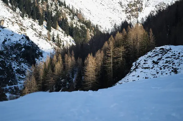 Valle Aurina vadisinin karlı manzarası